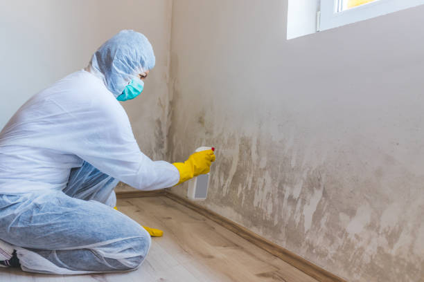 Hvac And Air Duct Mold Remediation inspection of HVAC system in Coppell